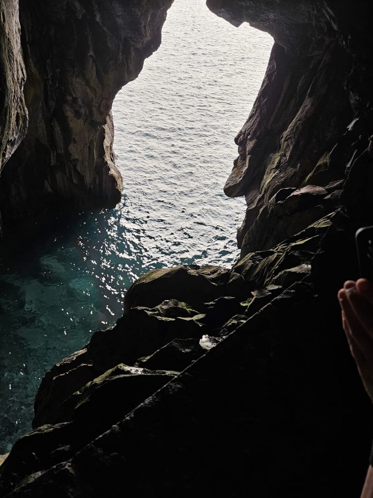 31a3f903-782f-4294-b226-c9700ace4be5