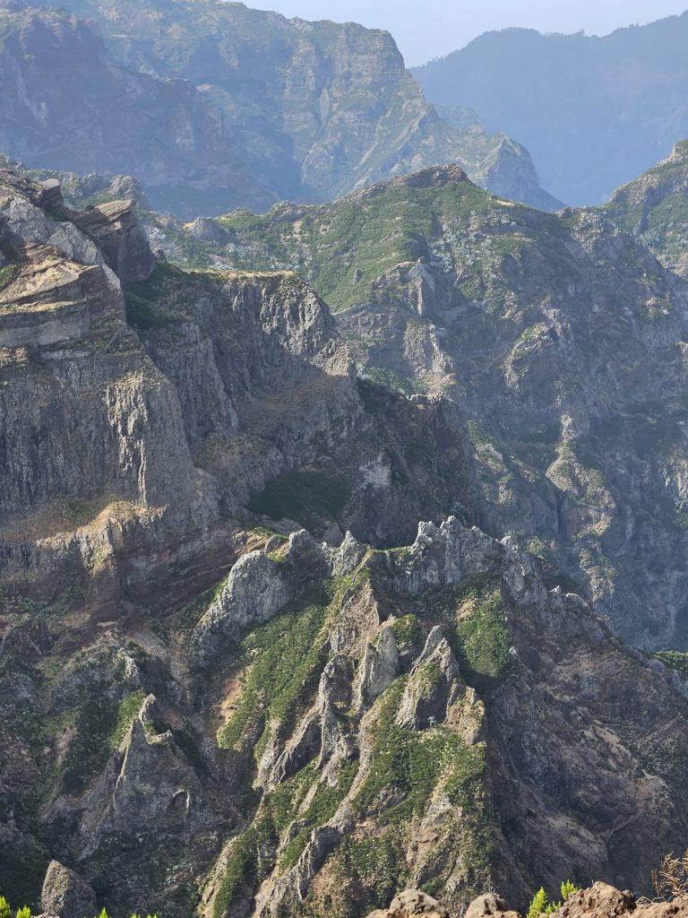 3217d930-27e6-4ddc-b6cf-0d0c79d8a7c6