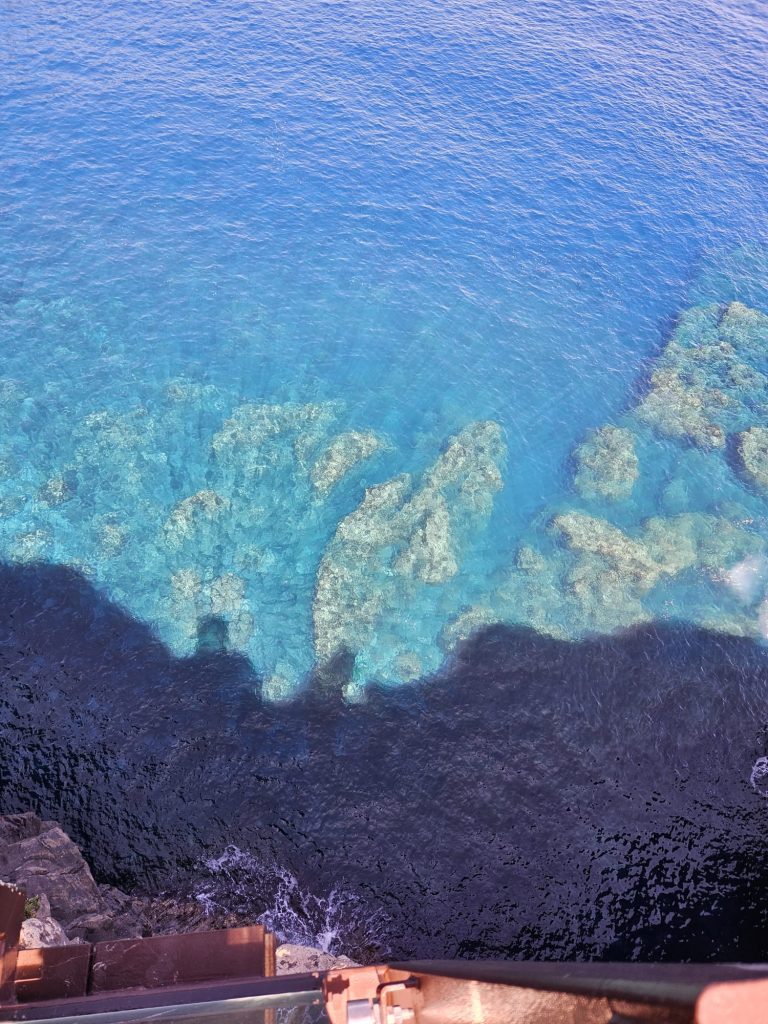 3a29f390-1134-421c-88e4-da27a5544515