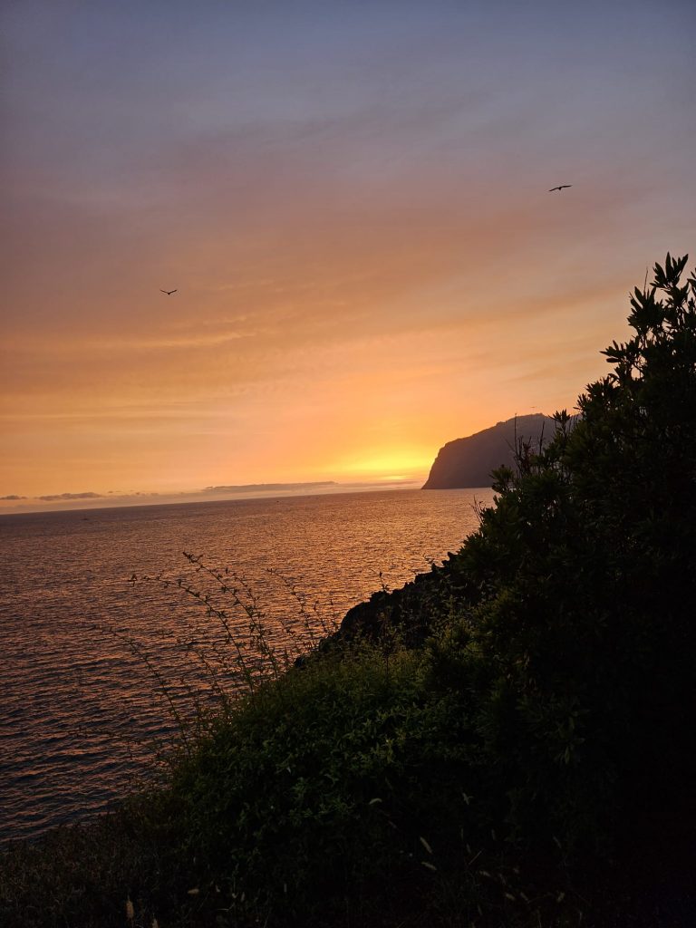 52164f44-27d9-4fa9-8587-4f4f9cdace54