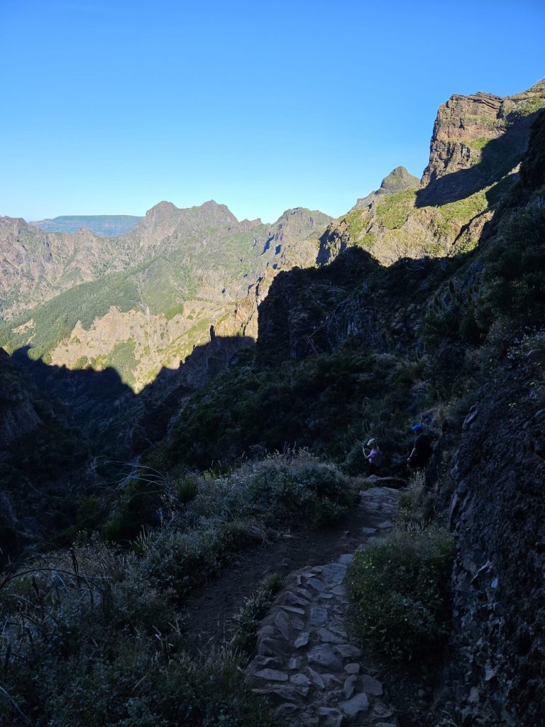 5f75846c-9f20-40af-b54f-580edd73f64c