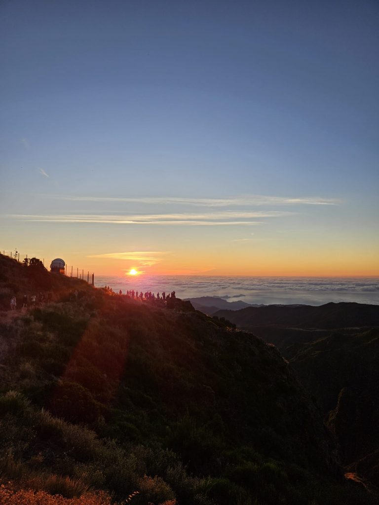 6e130912-8a89-4430-8f20-40e273b67b7f