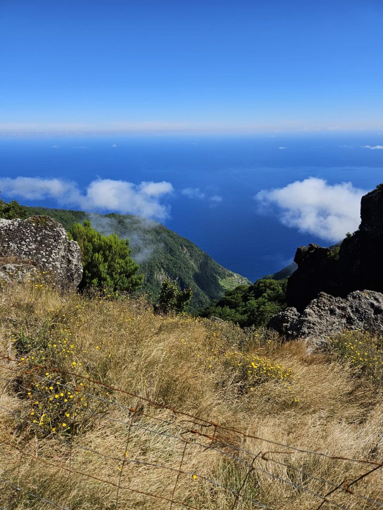 9d27e012-a432-465c-8e21-9cea26e840b0