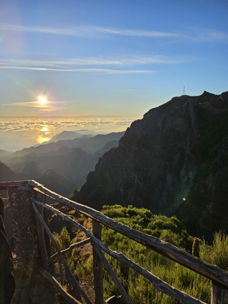 b889cac4-0186-4b17-8e9f-b4fc7a0a86aa