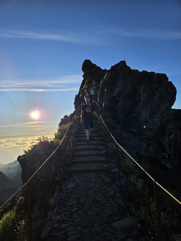 e937f88e-6cab-48f6-bb30-9f410f5d767b