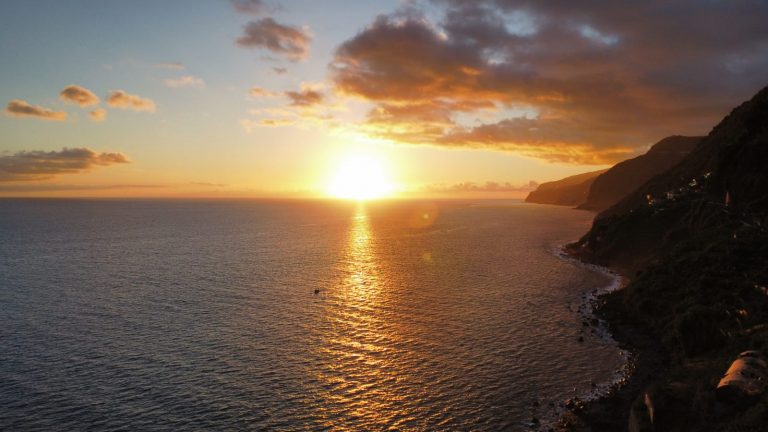 f3d3eb4f-9e9c-43be-807e-3d84aeaf16b8