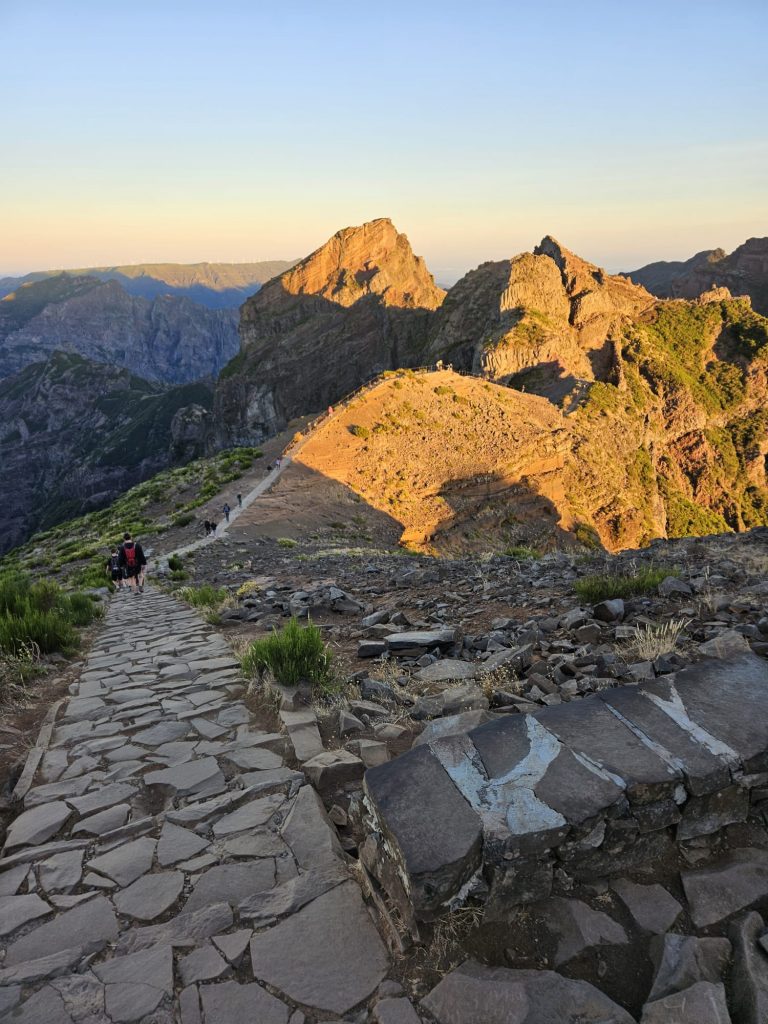 fdae3a33-f59b-4d7c-8f72-86190f224961 (1)