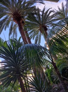 PDE_Barcelo_Margaritas006