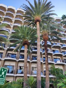 PDE_Barcelo_Margaritas007