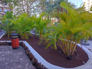 PDE_Barcelo_Margaritas008