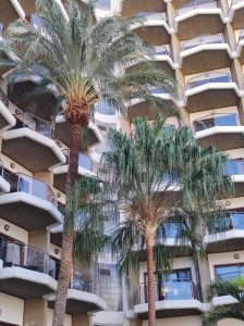 PDE_Barcelo_Margaritas009