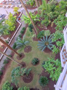 PDE_Barcelo_Margaritas016