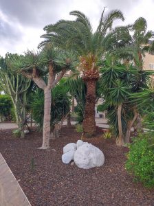 PDE_Barcelo_Margaritas018