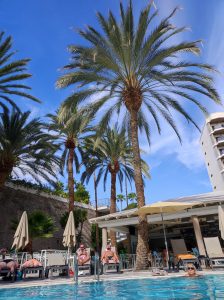 PDE_Barcelo_Margaritas026