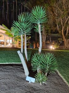 PDE_Barcelo_Margaritas029