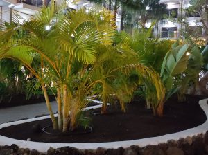 PDE_Barcelo_Margaritas032