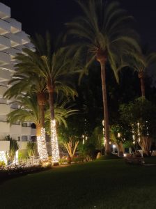 PDE_Barcelo_Margaritas033