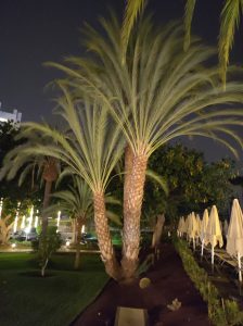 PDE_Barcelo_Margaritas034